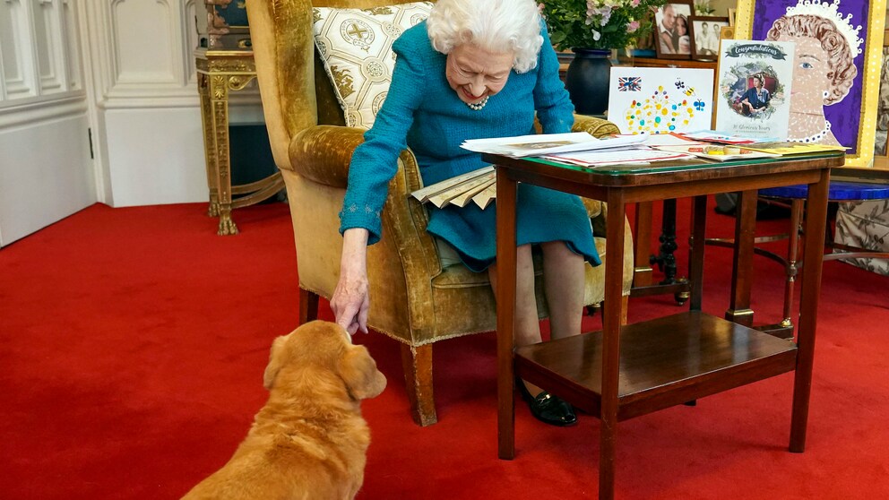 Queen mit Hund