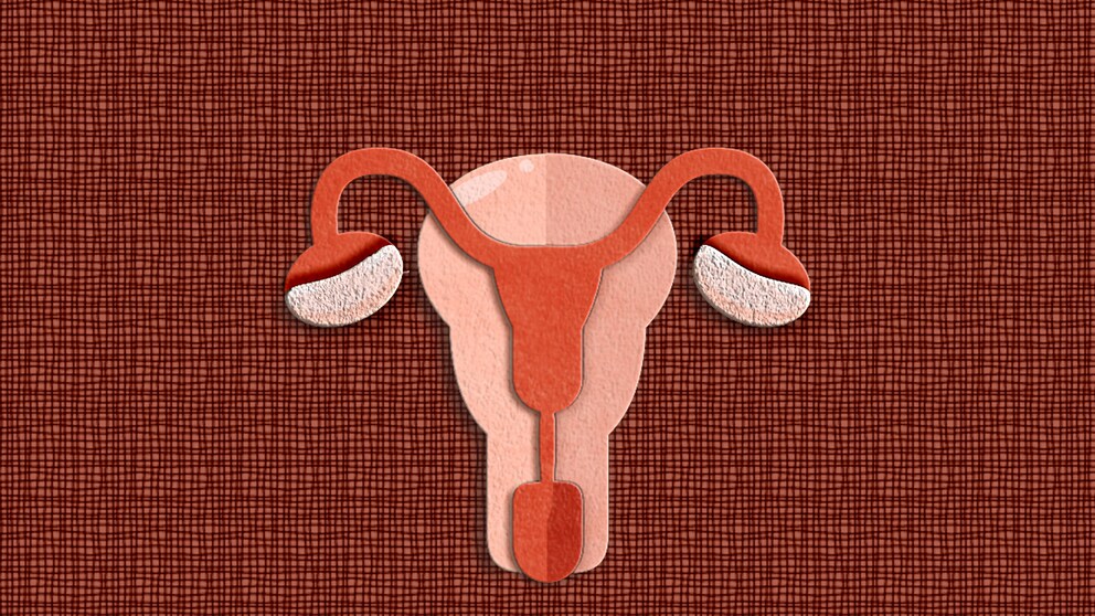 Vagina