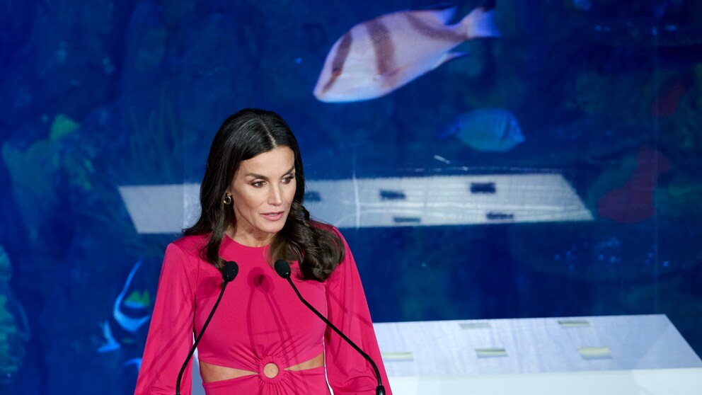 Königin Letizia bei der Charity des Roten Kreuzes in Valencia