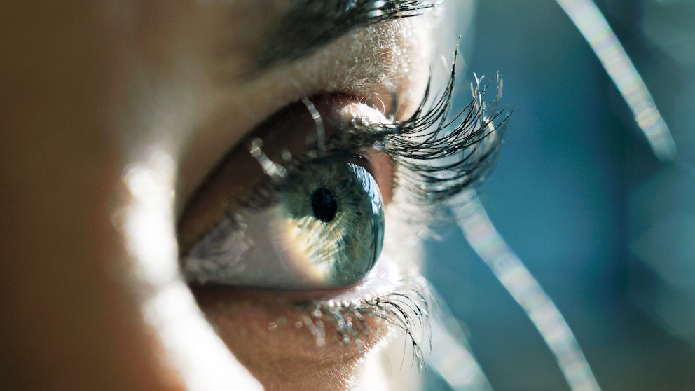 Wimpernseren