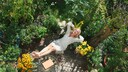 Frau am Garten