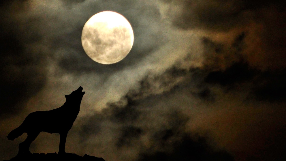 Der Wolfsmond im Januar ist ein besonderer Vollmond