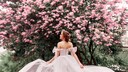 Braut in rosé-farbenem Off-Shoulder-Kleid vor einem blühenden Kirschbaum. Sie blickt zum Baum, das leichte Kleid weht, wunderschön.