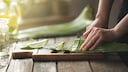 Aloe Vera hilft nicht nur bei Sonnenbrand, sondern sorgt auch für eine reinere Haut