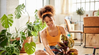 Junge Frau mit nach oben gebundenem Afro, die sich um ihre Pflanzen kümmert