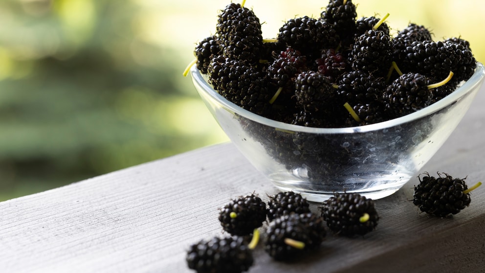 Maulbeeren gelten in Asien längst als Beauty-Helfer, doch was kann der Inhaltsstoff wirklich?