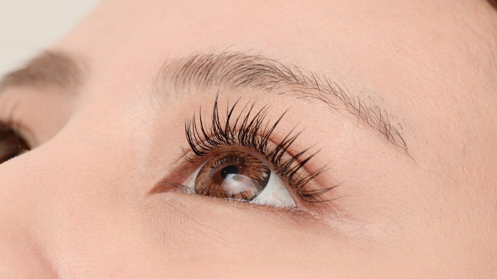 Das professionelle Wimpernlifting sorgt für einen natürlichen Schwung – ganz ohne Wimpernzange