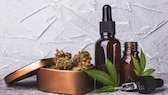 CBD oder Hanföl wird in der Kosmetik immer öfter verwendet – doch wie gut ist es wirklich für die Haut?