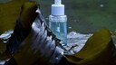 Algenöl gilt in der Hautpflege als Anti-Aging-Mittel. Doch was kann die Wasserpflanze wirklich?