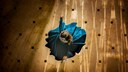 Mädchen im blauen Kleid, das sich im Kreis dreht. Sie trägt ein Krönchen und wurde von oben fotografiert