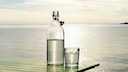 Birkenwasser bringt Vorteile für Haut, Haare und Immunsystem mit sich