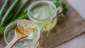 Aloe Vera Gel selbst machen