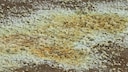 Schwefel ist für seine gelbliche Farbe bekannt – doch wussten Sie auch, dass Sulfur gut für die Haut ist?