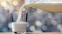 Unglaublich! Dieses Kleid ist aus saurer Milch gemacht