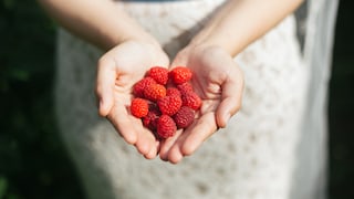 Die wirkungsvolle Ellagsäure ist unter anderem in Himbeeren enthalten
