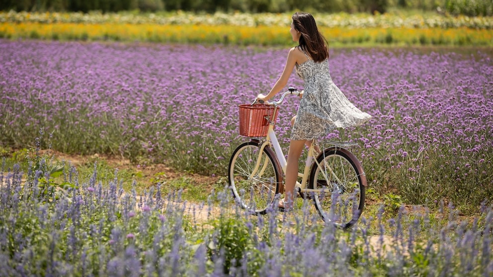 Mit unseren Tricks fliegt das Kleid beim Radfahren nie wieder hoch