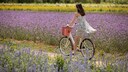 Mit unseren Tricks fliegt das Kleid beim Radfahren nie wieder hoch