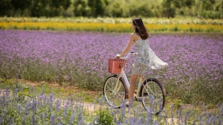 Mit unseren Tricks fliegt das Kleid beim Radfahren nie wieder hoch