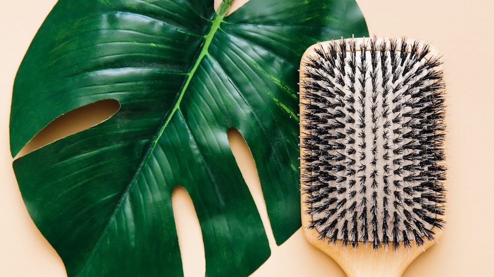 Die besten Bürsten mit Naturborsten für Ihr Haar? STYLEBOOK stellt 9 Modelle vor.