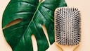 Die besten Bürsten mit Naturborsten für Ihr Haar? STYLEBOOK stellt 9 Modelle vor.