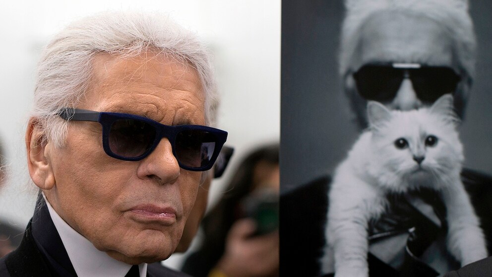Karl Lagerfelds Katze nach seinem Tod