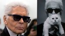 Karl Lagerfelds Katze nach seinem Tod