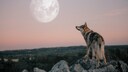 Wolfsmond