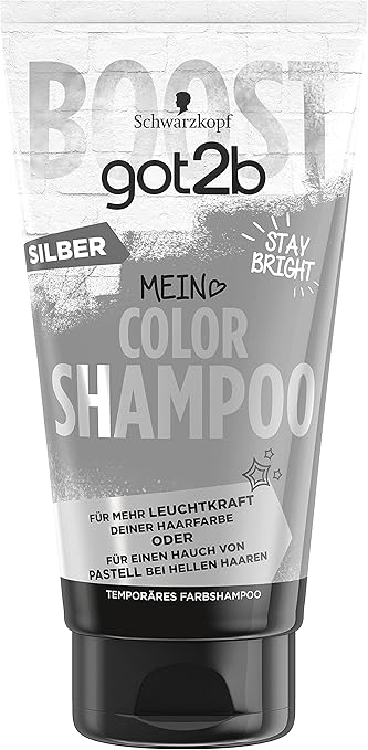 got2b Color Shampoo Silber 