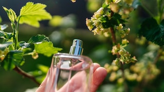 Parfum-Trends