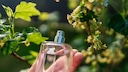 Parfum-Trends