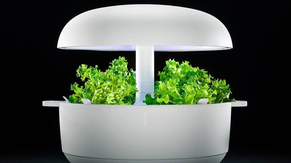 Sieht so das Gärtnern der Zukunft aus? Das vollautomatische Gewächshaus Plantui 6 Smart Garden.