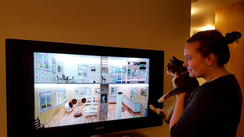 Katze guckt mit Frauchen Fernsehen