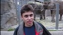 Im ersten Youtube-Video sieht man Mitgründer Jawed Karim vor einem Elefantengehege.