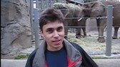 Im ersten Youtube-Video sieht man Mitgründer Jawed Karim vor einem Elefantengehege.