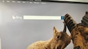 Immer ein anderes Motiv: Die Startseite von Bing.com hat einen täglich wechselnden Hintergrund.