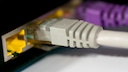 LAN statt WLAN? In einigen Fällen kann das tatsächlich ratsam sein.