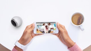 Die Anzahl der Geräte, die mit Apple Homekit kompatibel sind, hält sich bisher in Grenzen. Die „Circle 2“ Home-Security-Kamera von Logitech gehört etwa dazu.