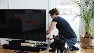 Frau mit Hund und Fernseher