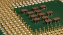 Die Unterseite eines Prozessors mit Verbindungs-Pins