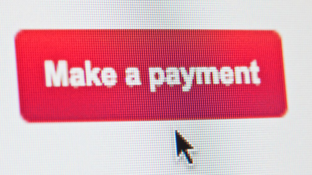 make a payment Button