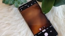 Das Samsung Galaxy S10+ neben Pflanzen