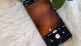 Das Samsung Galaxy S10+ neben Pflanzen