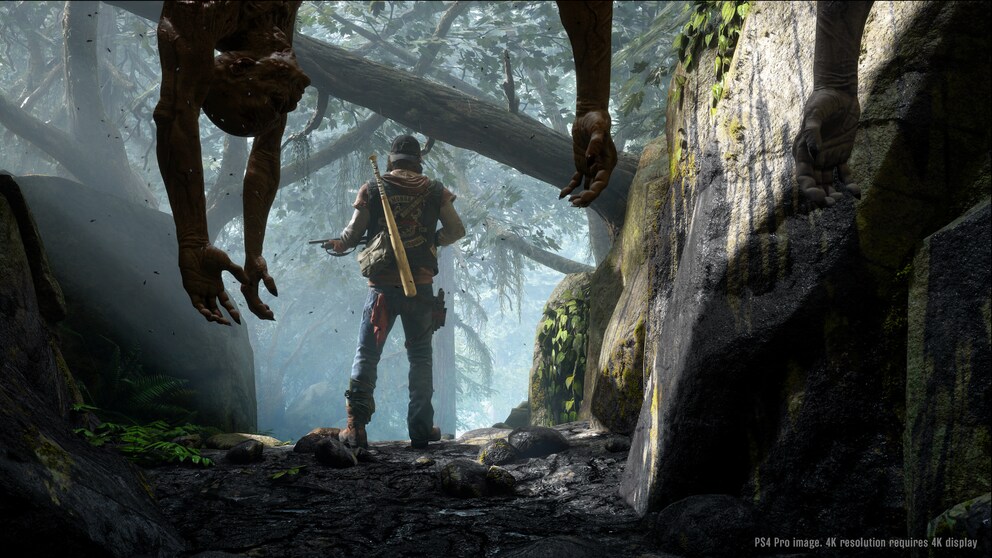 Days Gone Screenshot