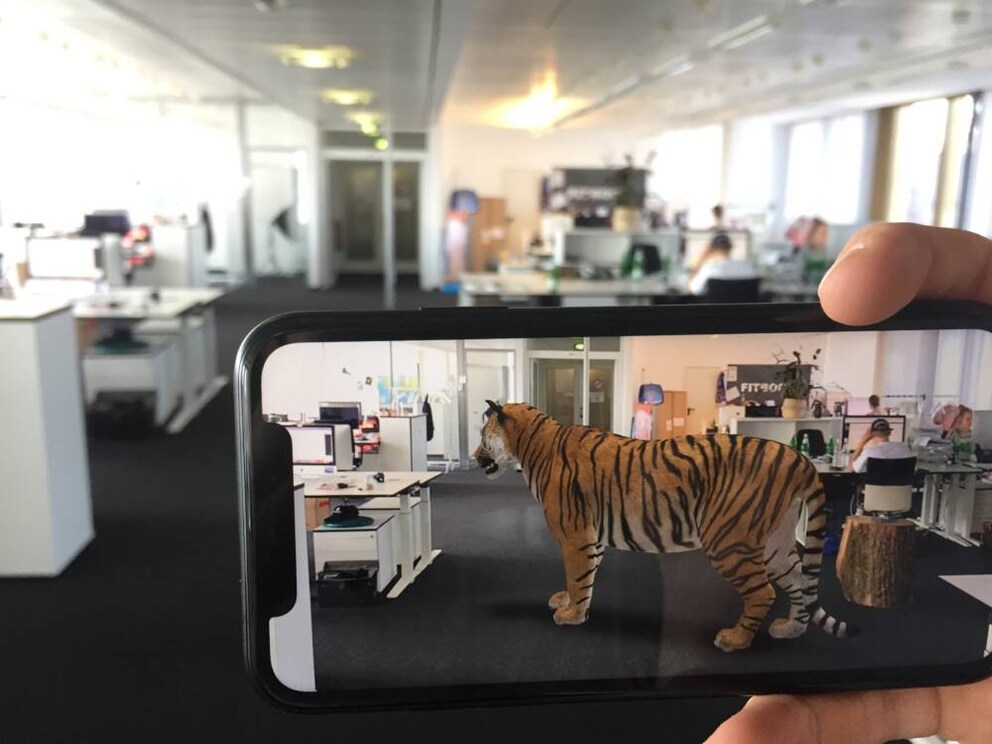 A tiger in the middle of the room