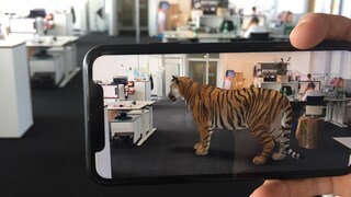 Ein Tiger mitten im Raum