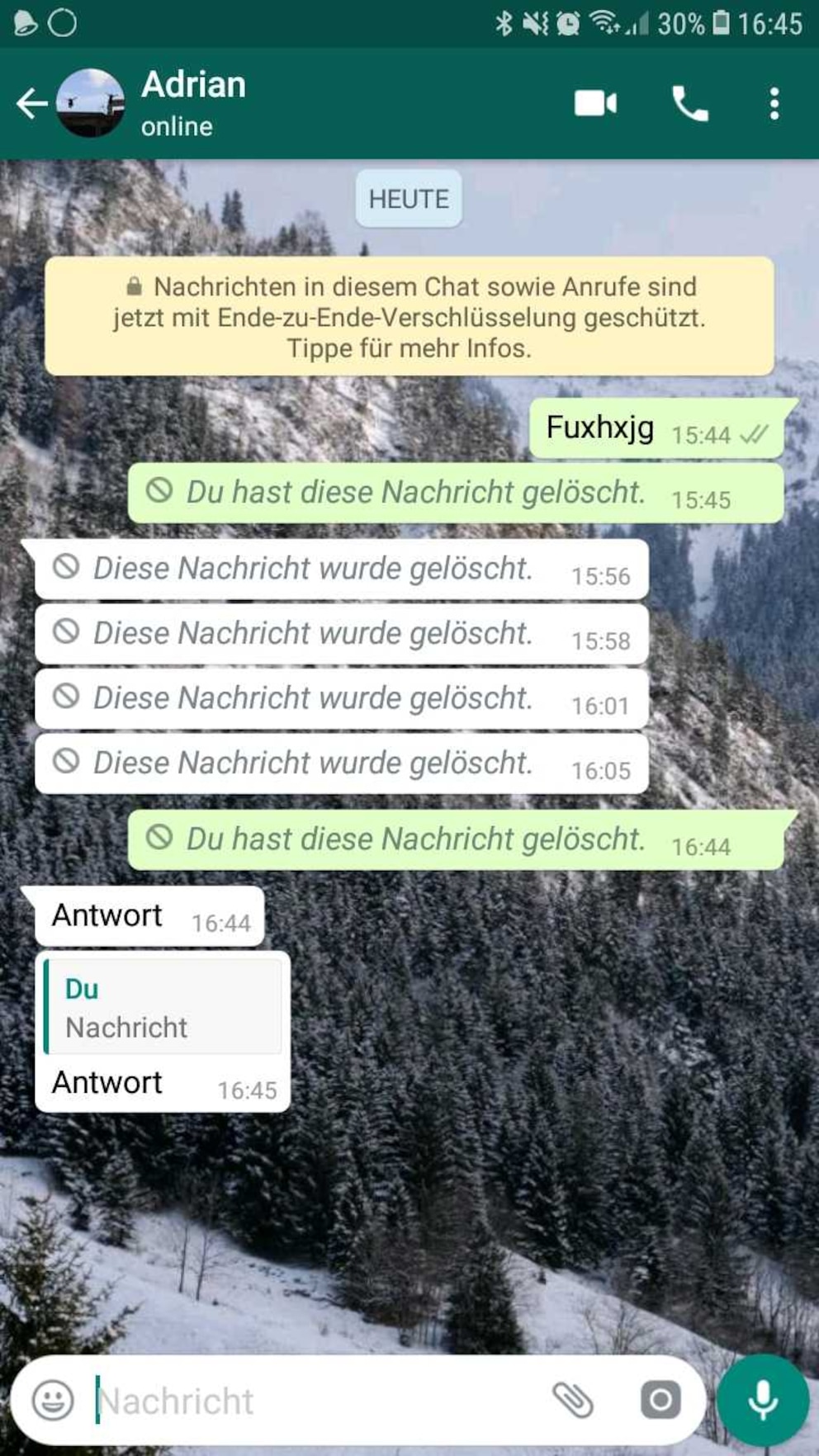 Screenshot gelöschte WhatsApp-Nachricht