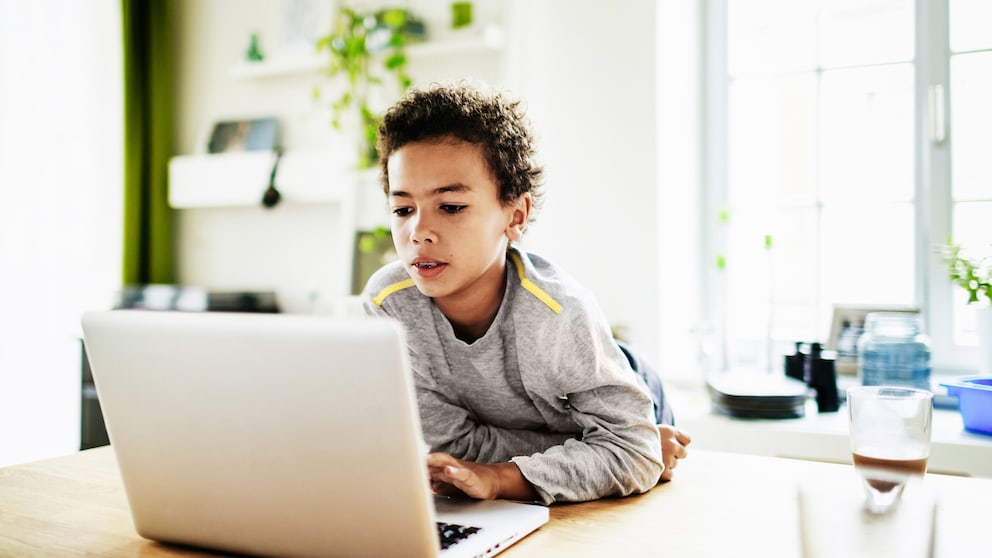 Kleiner Junge vor dem Laptop