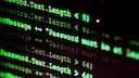 Passwort-Line in Code-Text