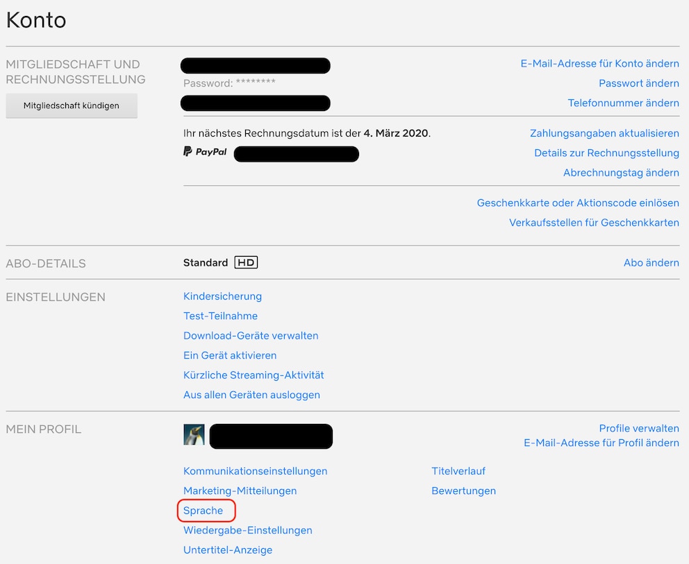 Netflix Sprache ändern Screenshot Konto