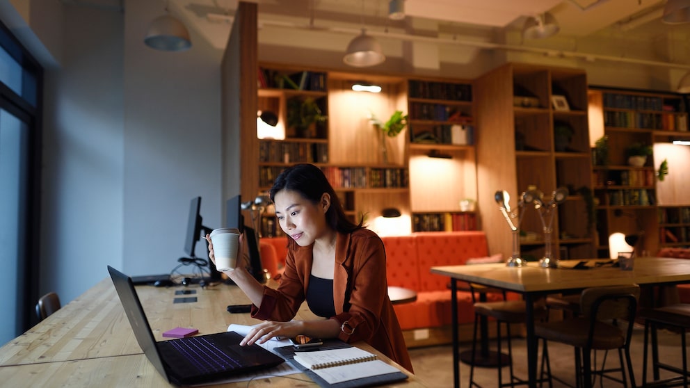 Online Banking aktivieren Symbolbild: Frau zu Hause am Computer